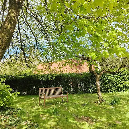 L'orchidee 펜션 Parenty