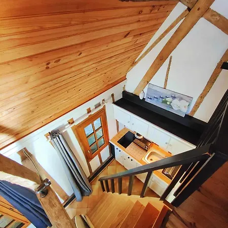 L'orchidee * Parenty