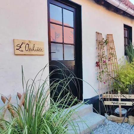 L'orchidee *