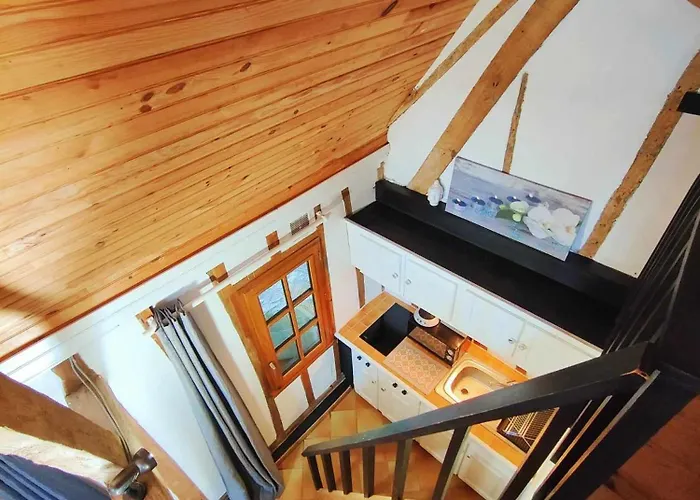 L'orchidée * Parenty